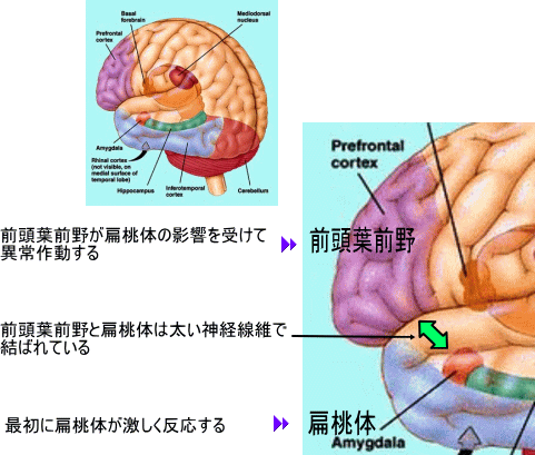 アップロードファイル 67KB